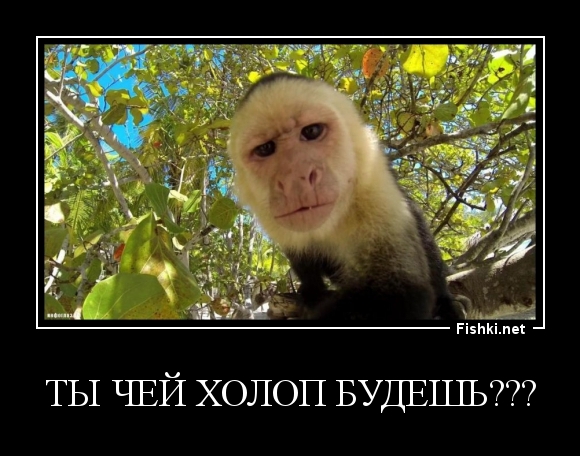 Ты чей холоп будешь???