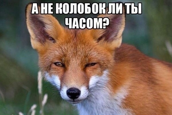 А не колобок ли ты часом?