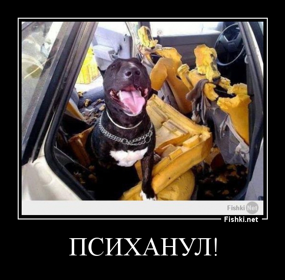 Психанул!