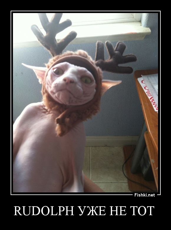 Rudolph уже не тот 