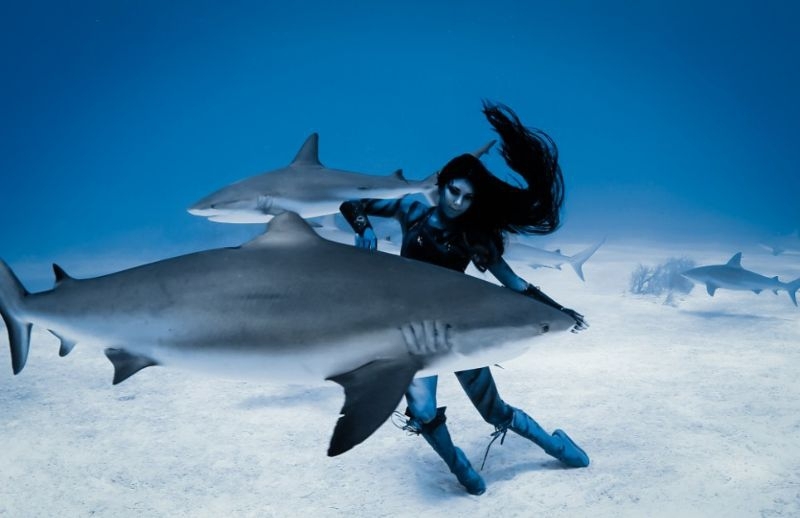 Смертельный танец модели с тигровыми акулами