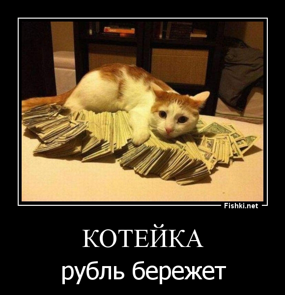 Котейка