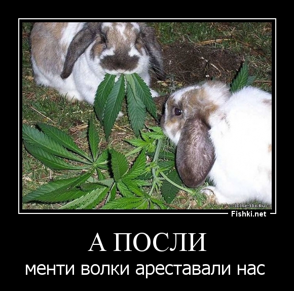 А ПОСЛИ