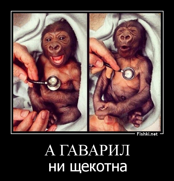 А ГАВАРИЛ