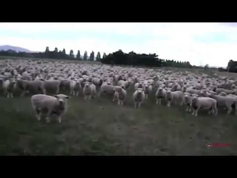 Слава Украине !