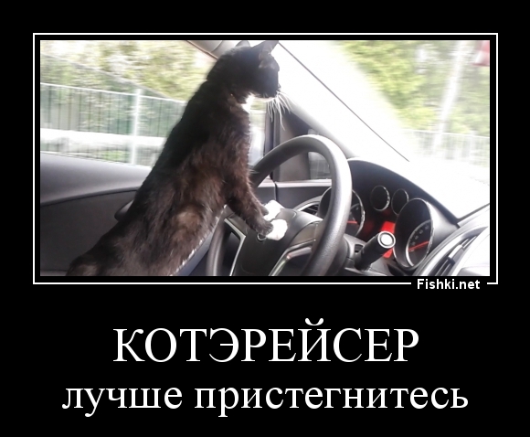 КОТЭРЕЙСЕР