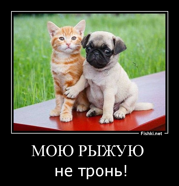 Мою Рыжую 