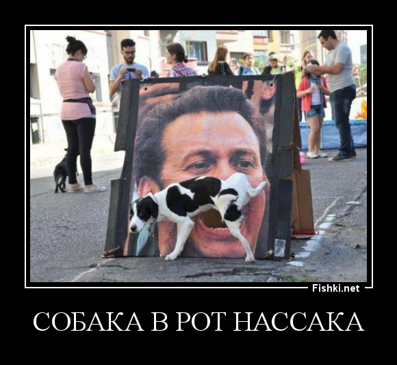 Собака в рот нассака