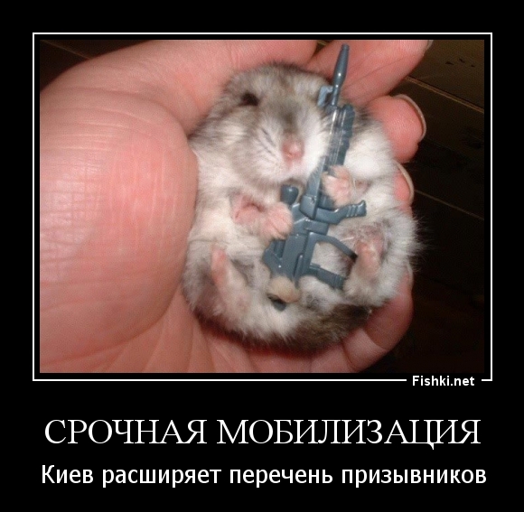 Срочная мобилизация