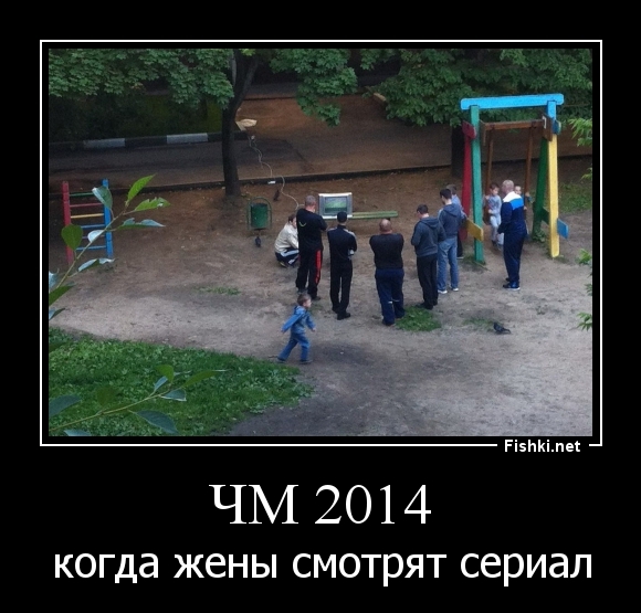 чм 2014