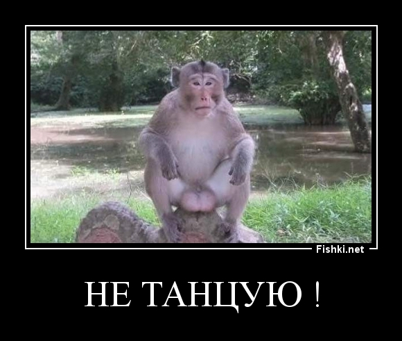 Не танцую !