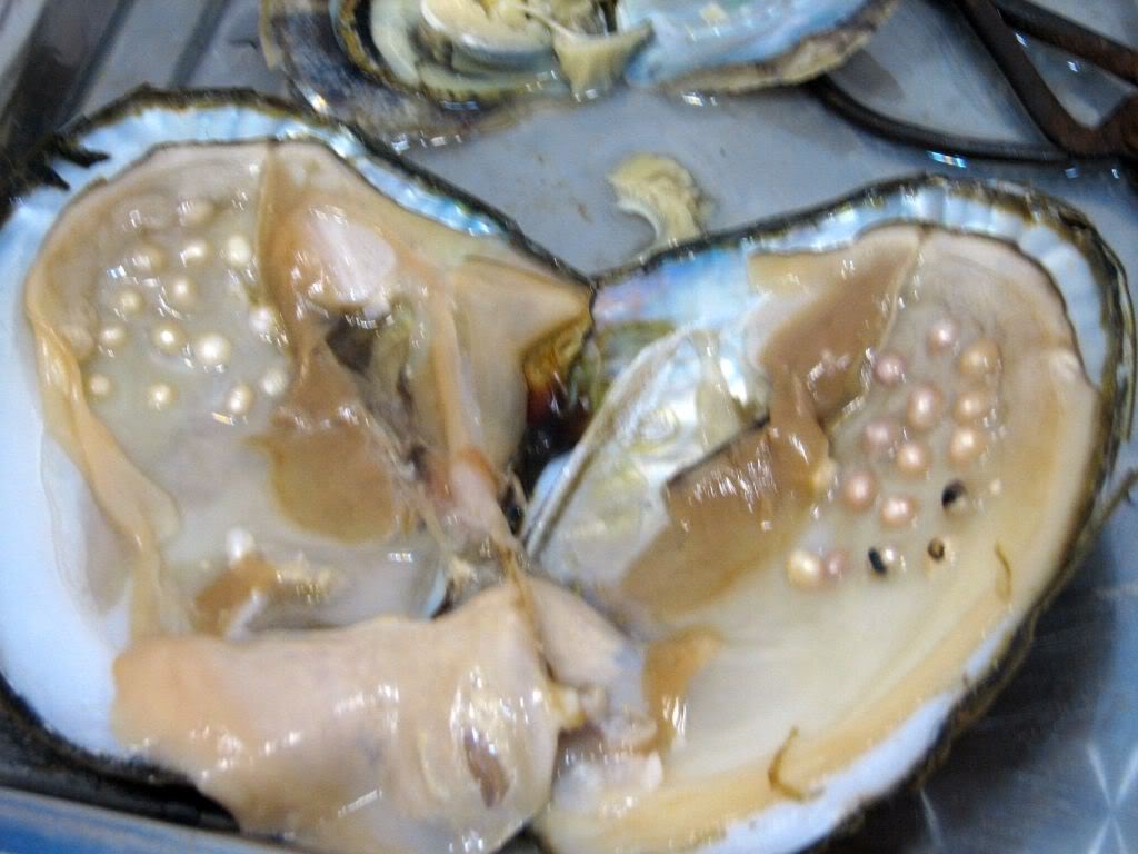 Жемчуги внутри моллюска