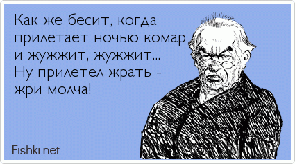 Как же бесит, когда  прилетает ночью комар и жужжит, жужжит... Ну прилетел жрать -  жри молча!