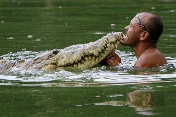 Мэр Мексиканского города женился на крокодиле