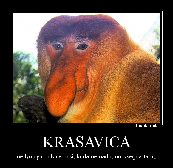 krasavica