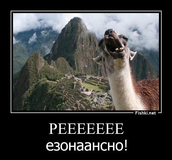 РЕЕЕЕЕЕЕ