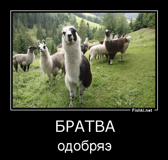 БРАТВА