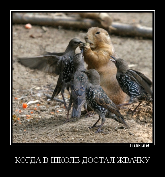 Когда в школе достал жвачку