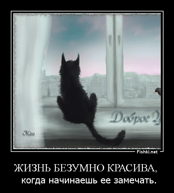 Жизнь безумно красива, 