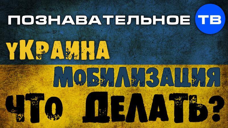 Украина. Мобилизация. Что делать