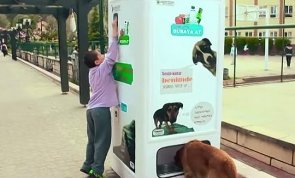 Автомат, который кормит бездомных животных