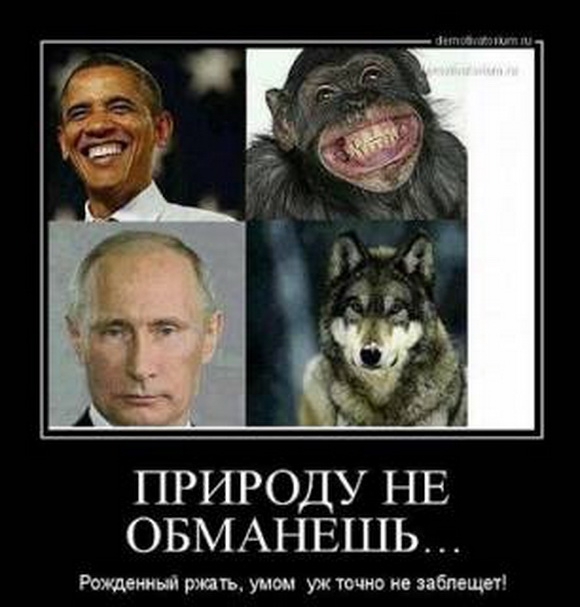 Путин и Обама! Сравнение!