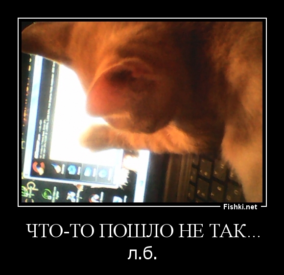 Что-то пошло не так...