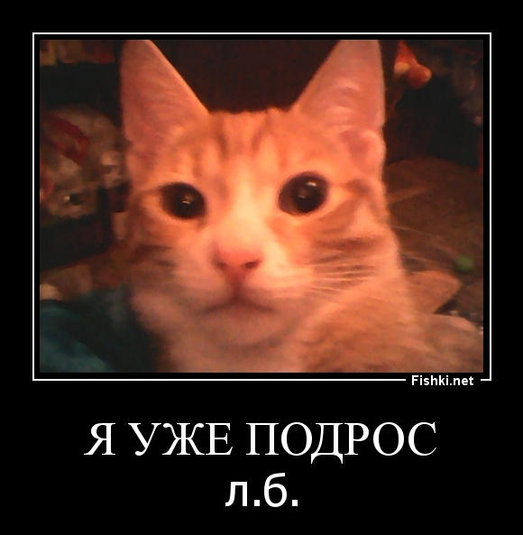 Я уже подрос