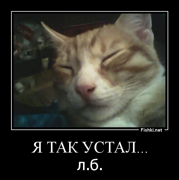 Я так устал...