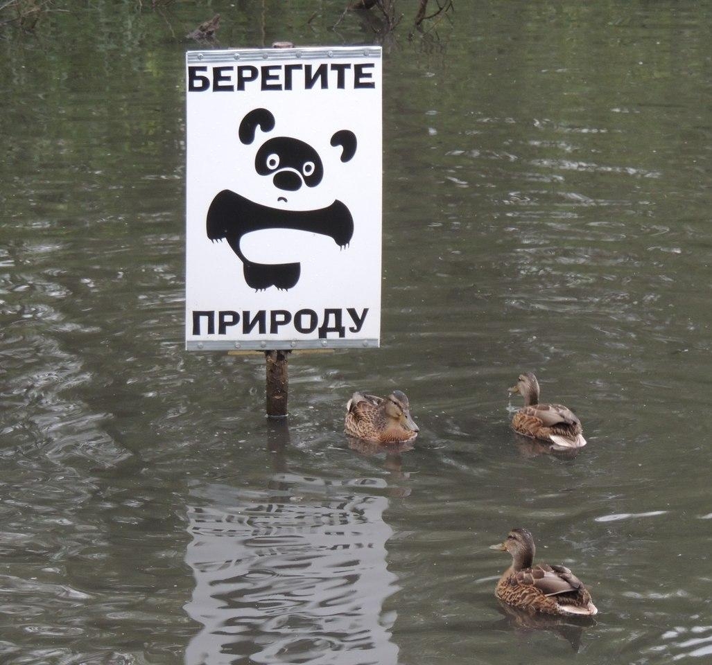 Берегите природу