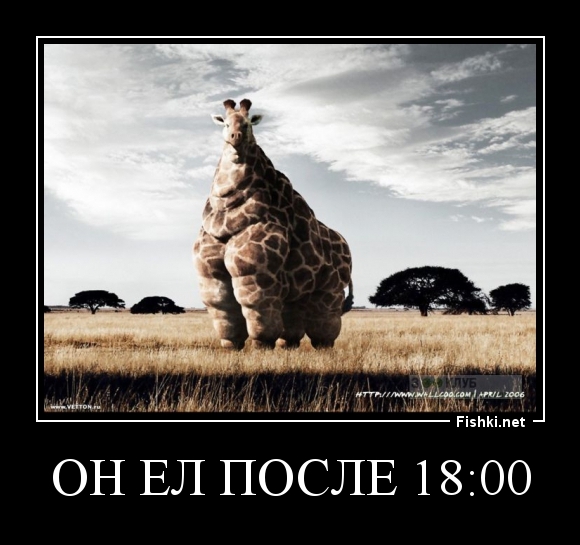 Он ел после 18:00