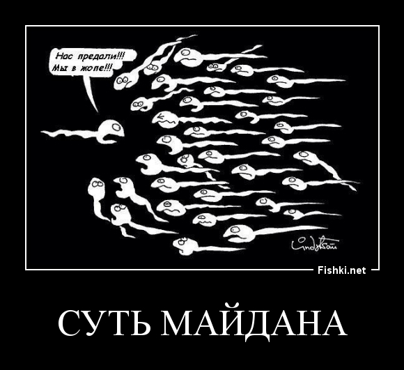 Суть майдана