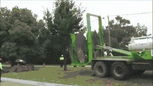 Как пересадить дерево