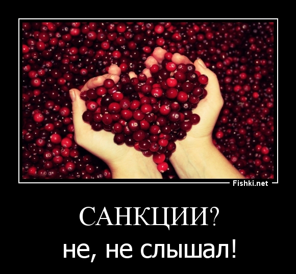 Санкции?