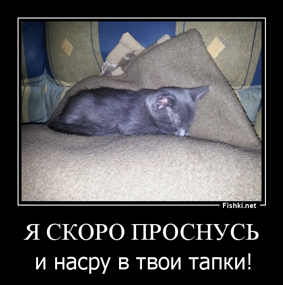 Я скоро проснусь