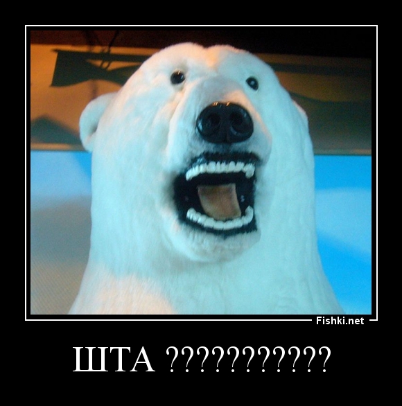 ШТА ???????????