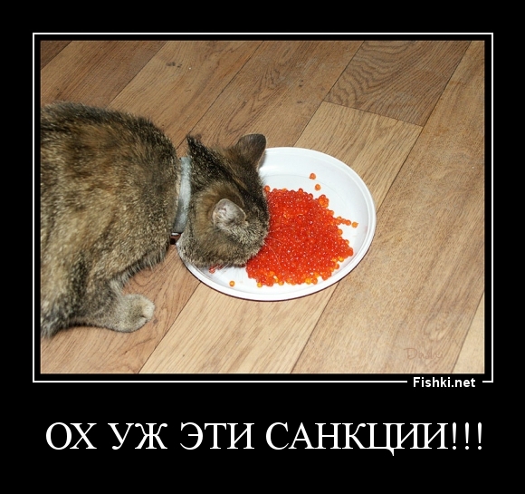 ОХ УЖ ЭТИ САНКЦИИ!!!