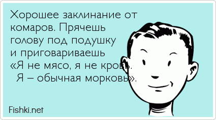 Хорошее заклинание от  комаров. Прячешь  голову под подушку и приговариваешь «Я не мясо, я не кровь.  Я – обычная морковь».