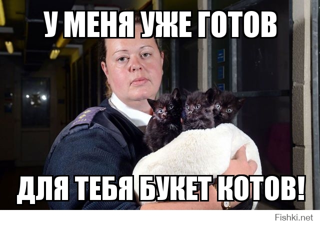 У меня уже готов