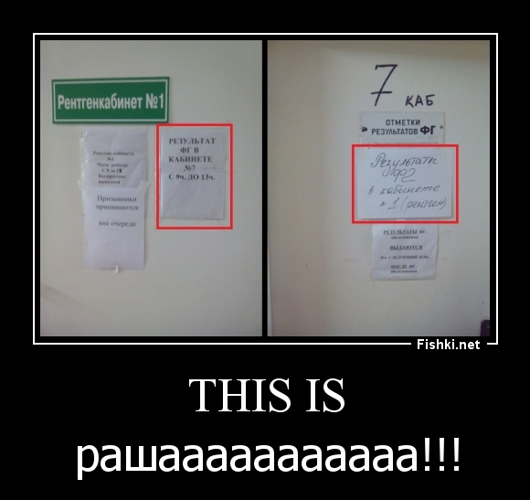 THIS IS