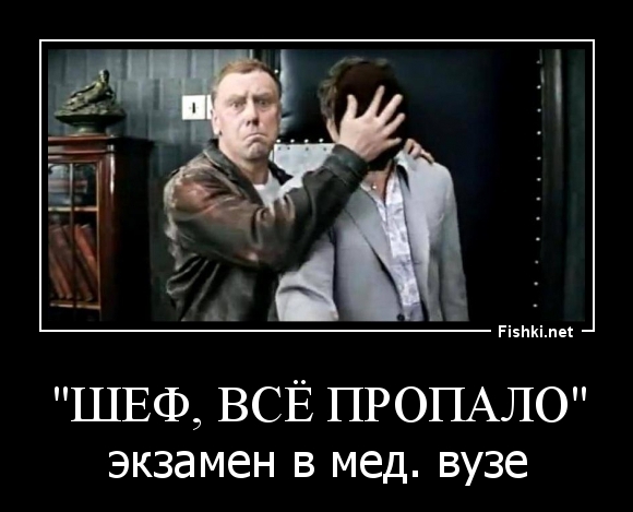 "Шеф, всё пропало"