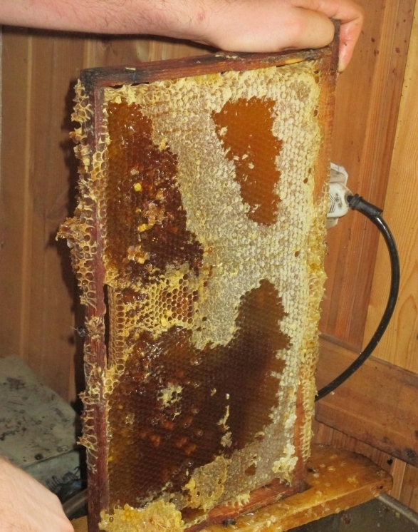 Как откачивается мед из рамок