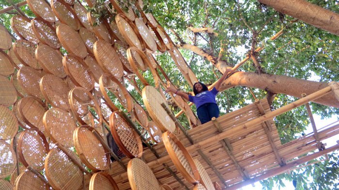 Домик на дереве из бамбуковых модулей