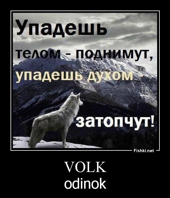 Volk