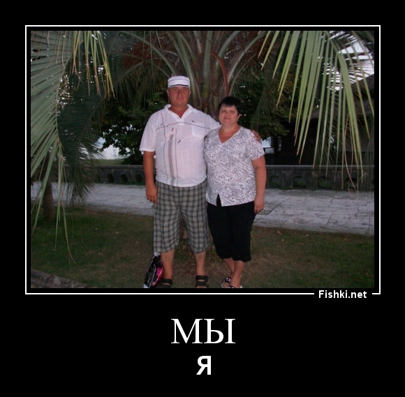 мы