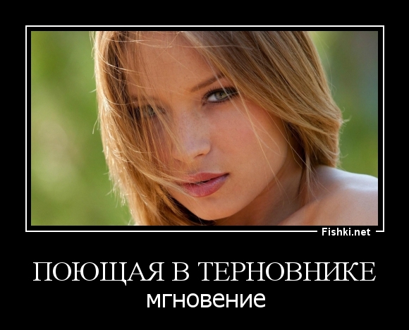 поющая в терновнике
