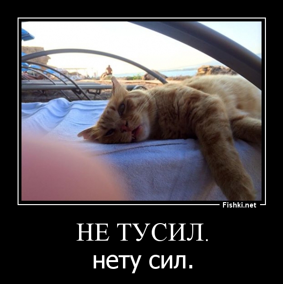 Не тусил.