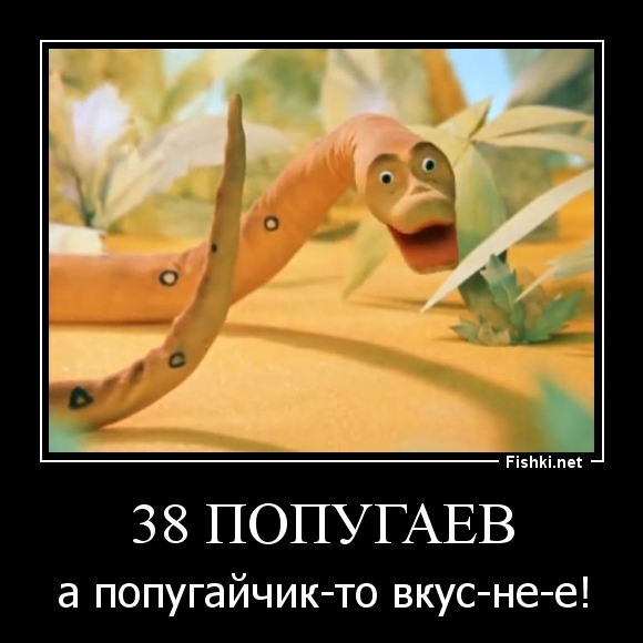 38 ПОПУГАЕВ