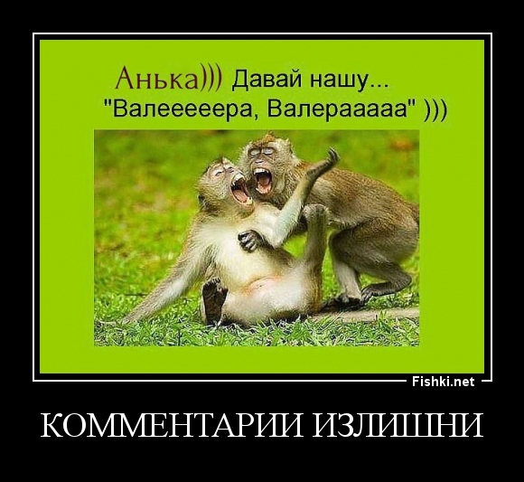 комментарии излишни
