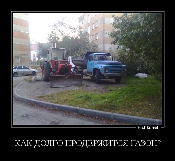 Как долго продержится газон?